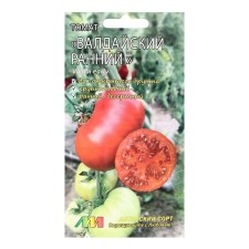 Seed Tomat 