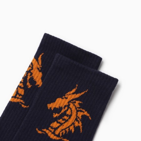 Male socks "Dragon", blue color, size 27-29-1