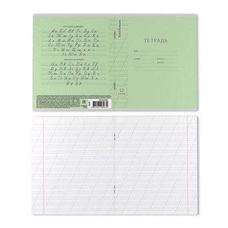 Notebook of 12 sheets in the slanting ruler, Erichkrause Visio "Classic", cover coated cardboard, offset block, green-5