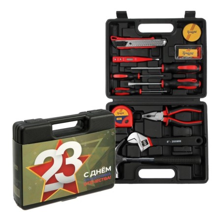 A set of tools in the case of Tundra "February 23", in gift packaging, 12 items