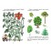 The world around him: a collection of developing tasks. Nazarova S.I.