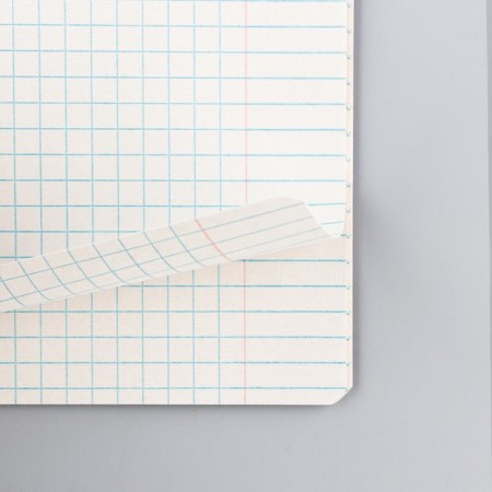 Notebook in a cage 12 sheets A5, on the paper clip “September 1: Fluffs”, covered Cardboard, block No. 2, 5 types of mix-4