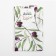 Olives shade 35x60 cm, 100% cotton, mitch 164 g/m2