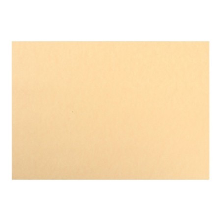 Color paper A4 250l Calligrata Pastel + intensive mix 10 -cv 80g/m2, barn-9