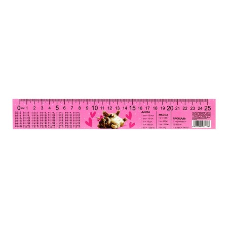 Line-stroke plastic 25 cm ZL-25 table of multiplication "The smallest" flexible