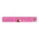 Line-stroke plastic 25 cm ZL-25 table of multiplication "The smallest" flexible