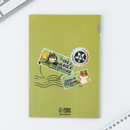Questionnaire for boys and pen "February 23: Cat"-17