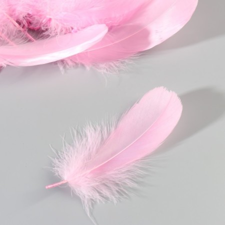 A set of goose feathers 13-18 cm, 20 pcs, bright pink-3