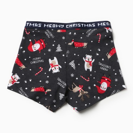Panties for the boy Color Steve/New Year, height 122-128 cm-2