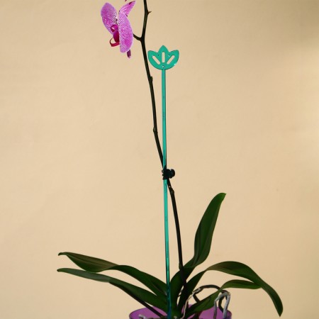 Support for orchids, h = 44 cm, plastic, turquoise, mix