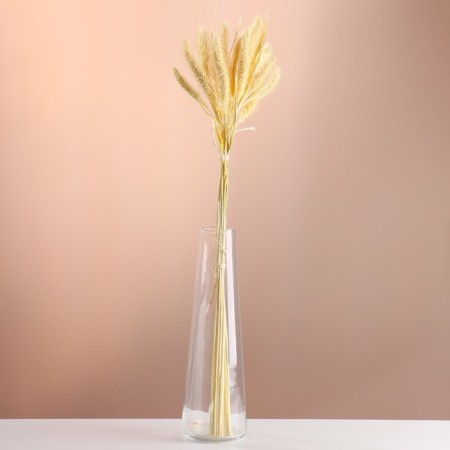 Set of dried flowers "Setaria", banch 7 pcs, length 60-65 (+/- 6 cm), bleached