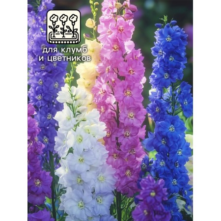 Flowers Dolphinium "Ocean of Passion", a mixture, 0.05 g-2