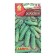 Cucumber seeds grew up F1 desks ts/p 10pcs
