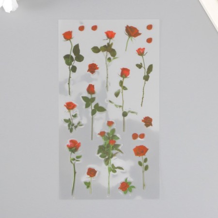 Plastic stickers "rose" set 6x18 cm-2