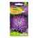 Astra seeds "Lilac haze", 0.3 gr.