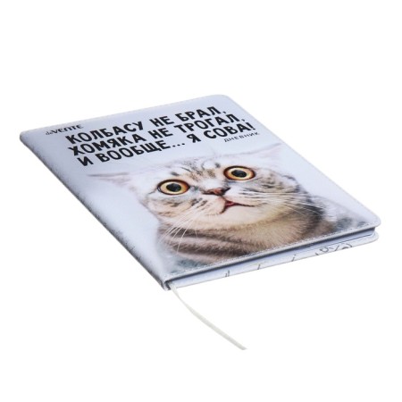 The universal diary for grade 1-11 did not take the sausage, solid cover, artificial leather, with foam rubber, liesse, 80 g/m2-1