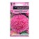 Flower seeds Astra thick -rock "Pink cylinder", one -year -old, 0.05 g
