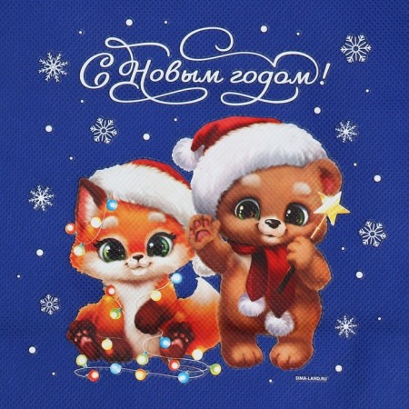 Gift bag “Happy holiday”, 28 x 28 cm +/- 1.5 cm, new year-3