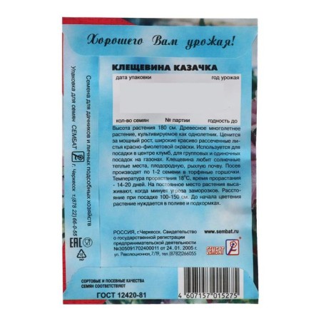 Cleshchevina flowers "Cossack", 2 pcs-1