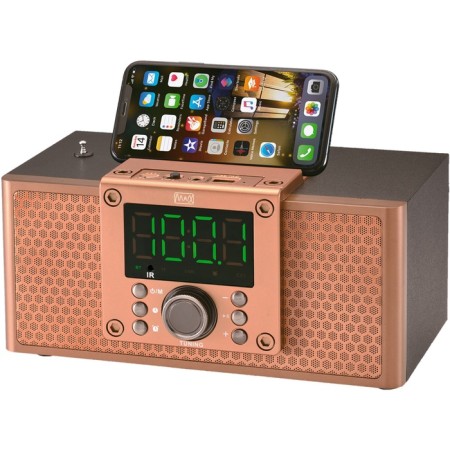 Portable acoustic system Max MR-360 Bronze-1