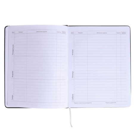Universal diary for grade 1-11 Kitties, hard cover, artificial leather, silk-screen printing, Lyasse, 80 g/m2-6