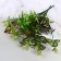 Bouquet "Decorative Cassia" 29 cm, mix