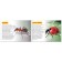 The training book "Amazing Insects", 20 p.