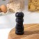 Mill for Dolyan's spices, 13 × 4.5 cm, metallic mechanism, color black tree