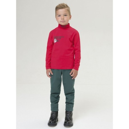 Turtleneck for the boy Pelican, height 110 cm, red color-3