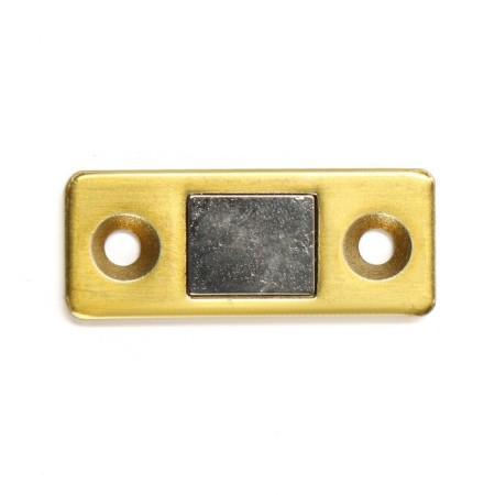Magnetic latch tundra, color gold-4