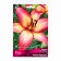 Lilia Lilia La-gibids Royal Present, 14/16 rr, 2 pcs. 120 h (cm), autumn 2024