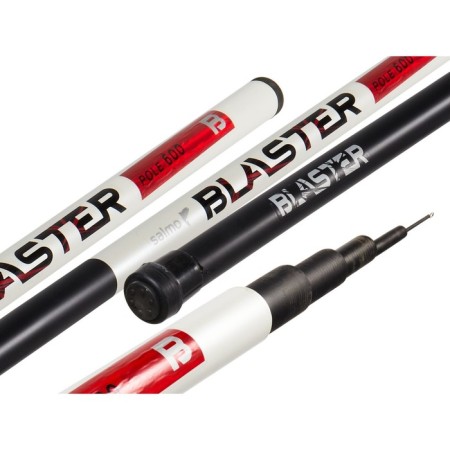 The float b/c Salmo Blaster Pole, test 5-20 g, length 6 m.-1