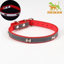 A collar with bones reflective, 37 x 1.3 cm, Osh 26-33, red