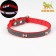 A collar with bones reflective, 37 x 1.3 cm, Osh 26-33, red