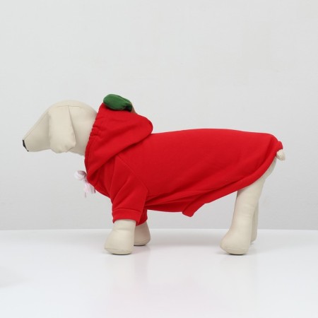 Folder "Apple", Size L (DS 35, OG 50 cm)-9