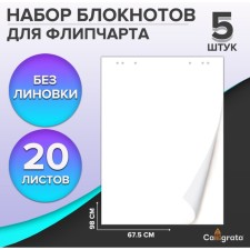 Set of notebooks 5 pieces for flipchart, 67.5 x 98 cm, 20 sheets white, 92%, 80 g/m2, calligrata