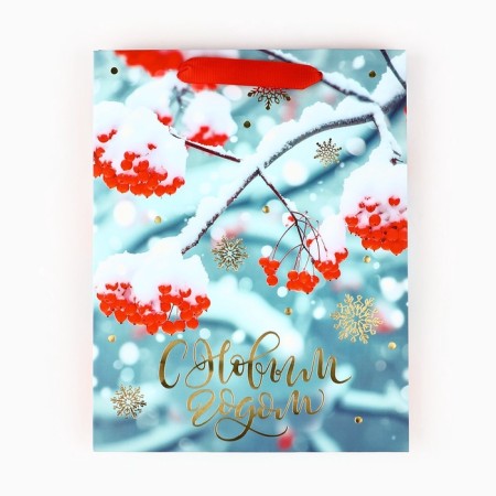 Package Gift New Year Laminated "Rowal", MS 23 x 18 x 10 cm, New Year-3