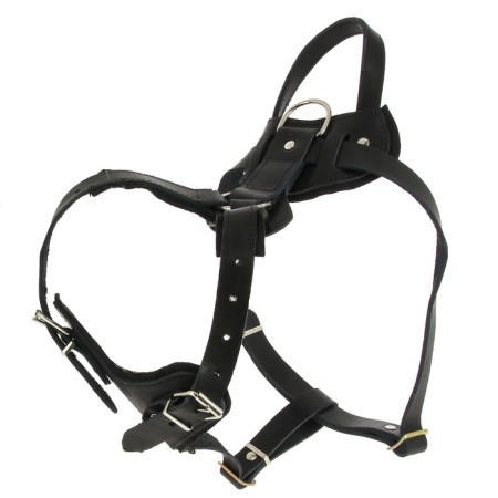 Leather harness with a lining of felt, size S, mix of flowers