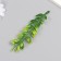 Artificial plant for the creativity "hoya" set of 12 pcs 14.5 cm