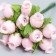 Flowers for decorating "Rose Blanca" light pink 1 bouquet = 12 colors 10 cm