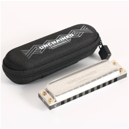 Diathonic harmonica Easttop Pro60 b