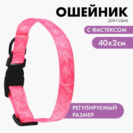 Collar My Little Princess, fastener - Fastex, 2 cm 25-40 cm