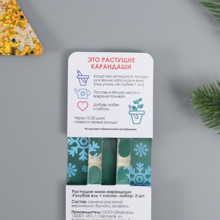 Growing gift pencils mini "blue spruce + pine" set 2 pcs.-7