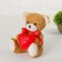 Soft toy "Mishutka with a heart", color mix
