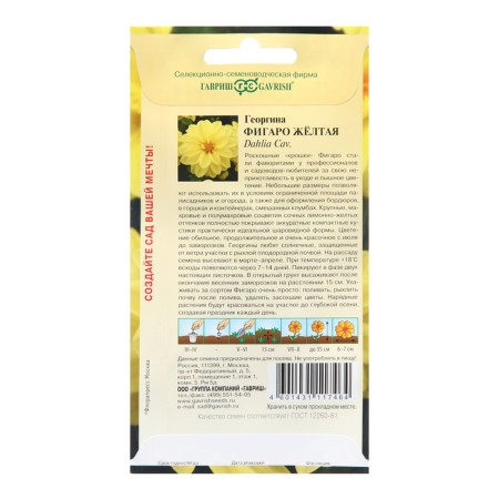 Georgin seeds "Figaro", yellow 7 pcs.-1