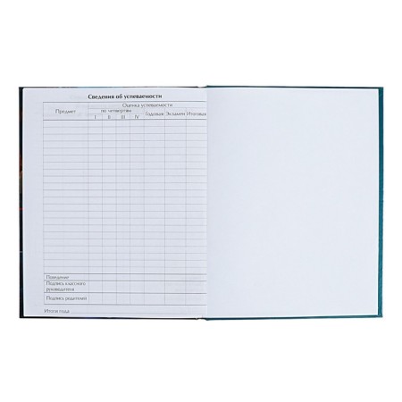 Diary for grades 5-11 anime. Girl, hard cover, glossy lamination, 48 sheets-8