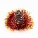 New Year's candle "Bump with spruce decor", 7 cm, brown mix