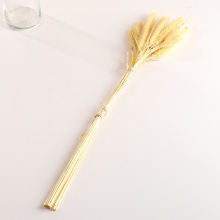 Set of dried flowers "Setaria", banch 7 pcs, length 60-65 (+/- 6 cm), bleached-3