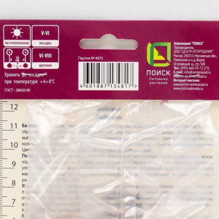 Babiana Direct mixture of colors, 10 pcs, rr 5+, spring 2025-1