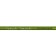 Spinning Nautilus Trout Spirit TSS-692UL, length 2.10 m, test 1-7 g